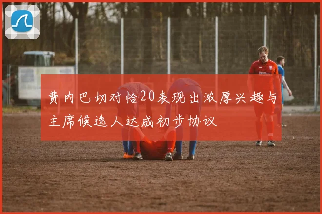 费内巴切对恰20表现出浓厚兴趣与主席候选人达成初步协议